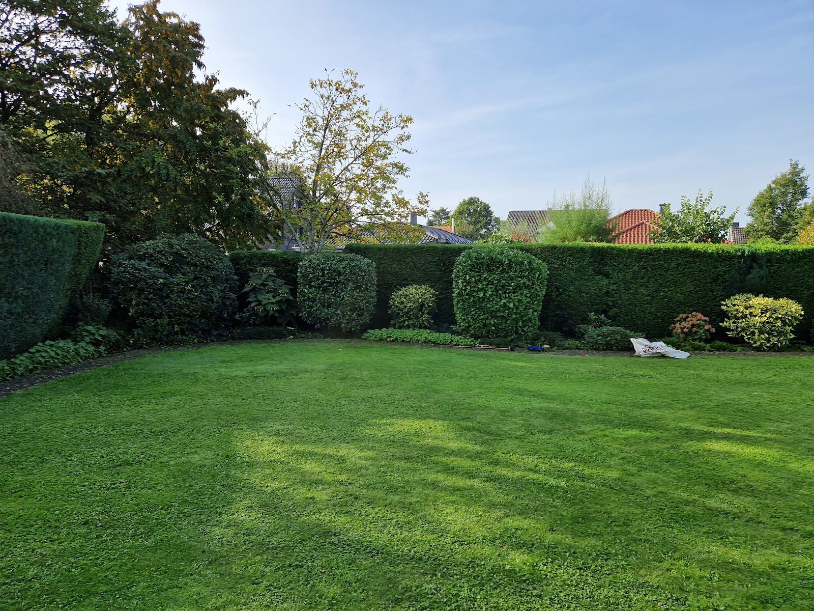 Gepflegter Garten mit Rasen und geschnittenen Hecken